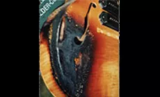 Verbrannte Oberfläche