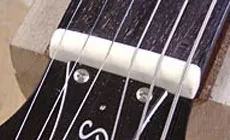 Foto: Knochennuss für Hunde