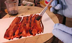 Natürlicher Streifen