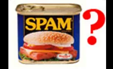 Spam kann