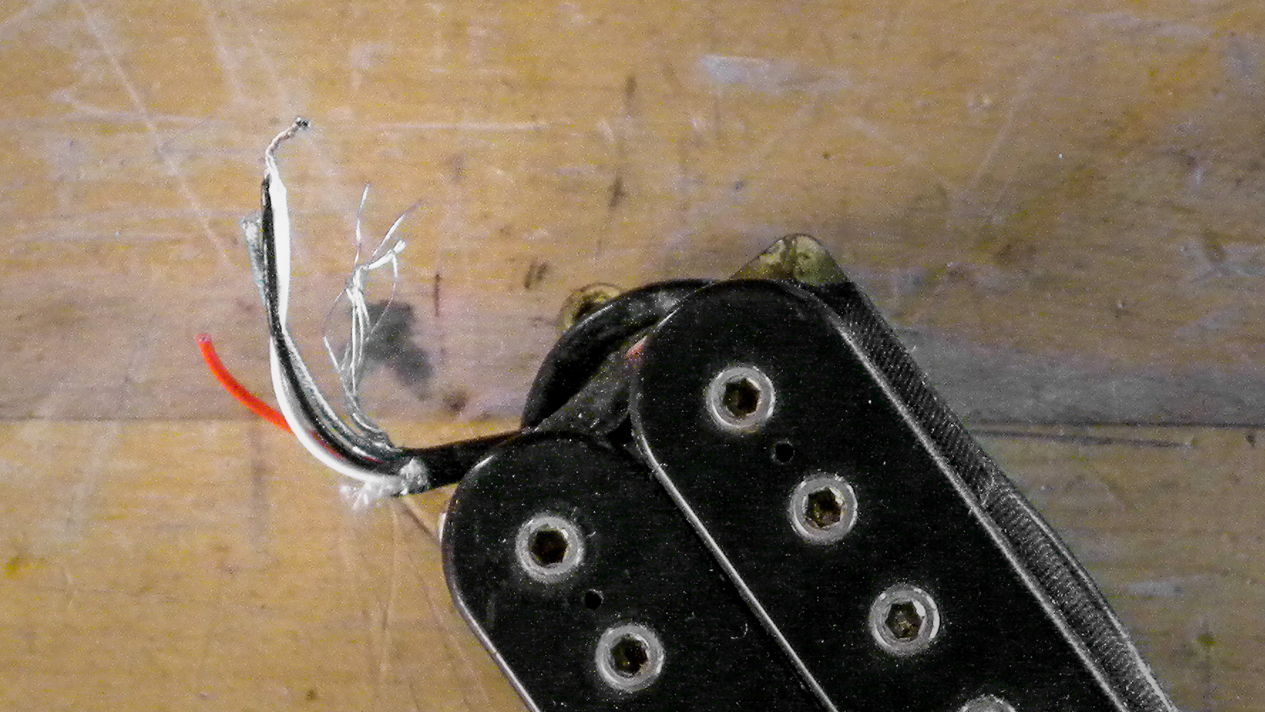 Coil-Cuts: So hüpfst du deine Hummer hoch