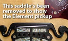 Foto: L.R. Baggs Element