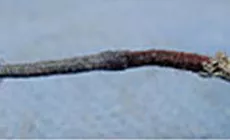 Stoffisolierung repariert