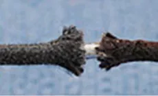 Isolierung aus Stoff