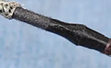 Aufnahmeband Abdeckdrähte