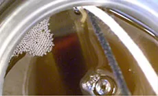 Verguss einer Abholung