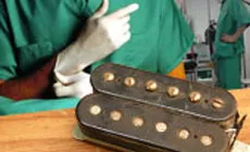 Spulentransplantation!