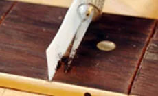 Staub in den Chip packen