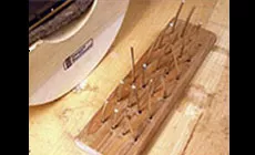 Halter für Frettchen