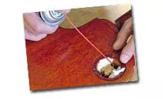 Reinigungselektronik